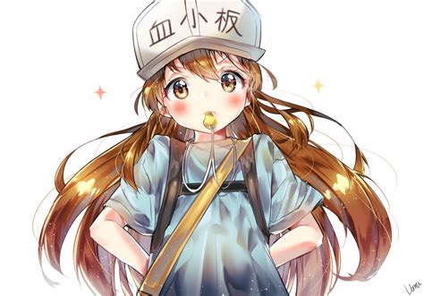 hataraku saibou download|Hataraku Saibou!! (Cells at Work!!) .